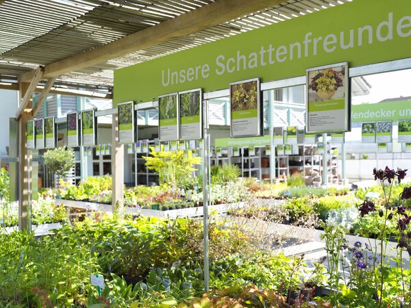 Pflanzen und Gartenbedarf
